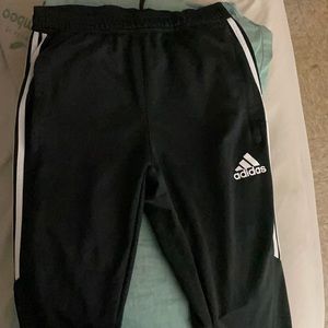 Adidas Pants